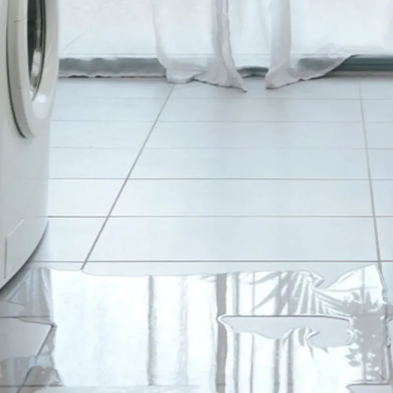 Appliance Leak Cleanup in Laurel, DE