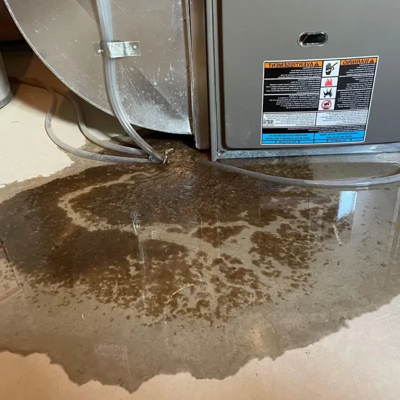 Pipe Burst and Leak Restoration in Laurel, DE