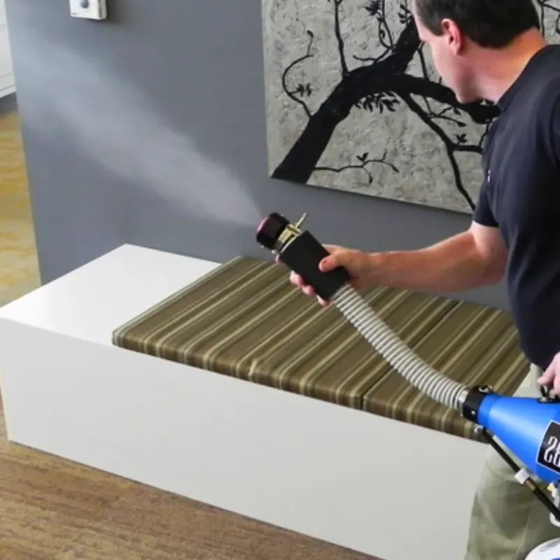 Professional Odor Removal in Laurel, DE