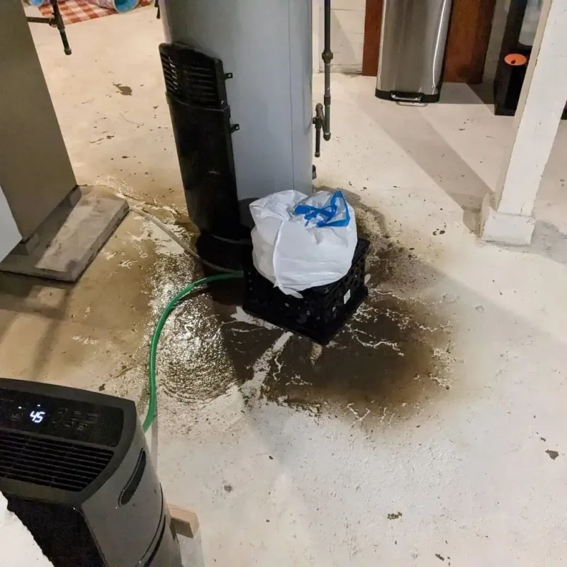 Sewage Backup Cleanup Service in Laurel, DE